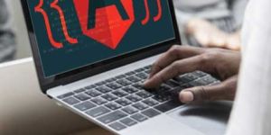 Angularjs Development Services