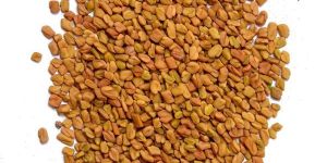 Fenugreek Seeds