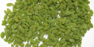 Green Raisins