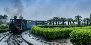 Kolkata-Sikkim-Darjeeling Tour