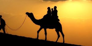Rajasthan Adventure Tour