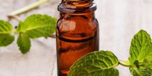 Spearmint Oil