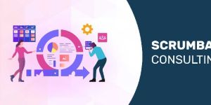 Scrumban Consulting Services