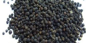 Black Pepper Seeds