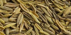 Cumin Seeds