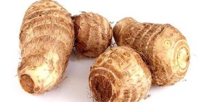 Organic Taro Root