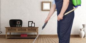 Disinfestations Spray Treatment