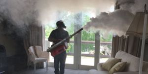 Fogging Control Services