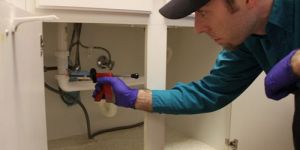 Herbal Pest Control Services