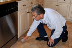 Pest Prevention Services