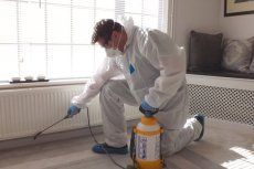 Residential Pest Control Services