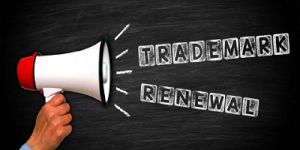 Trademark Renewal