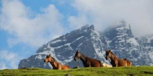 Sonmarg Tour Package