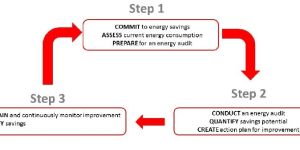 Energy Auditing
