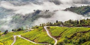 Darjeeling Tour Package