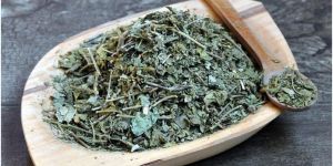 Gymnema Sylvestre Leaves