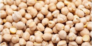 Kabuli Chickpeas