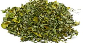 Mentha Piperita Leaves