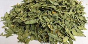 Senna Leaves