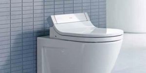 Wall Mounted Water Closet