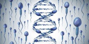 DNA Fragmentation Index