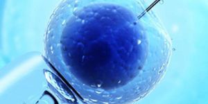 Intrauterine Insemination