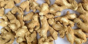 Dried Ginger