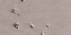 DIRT ENTERING WET FILM