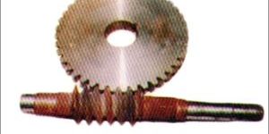 Worm Gear