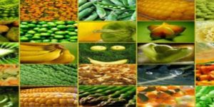 Fresh Fruits & Vegetables