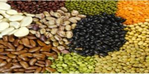 Indian Pulses