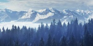 Kolkata to Manali Tour Packages