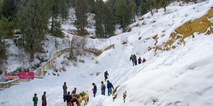 Pune to Manali Tour Packages