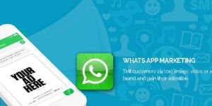 Whatsapp Marketing