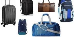 Novelty Bags And Luggage