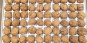 Shelled Walnuts