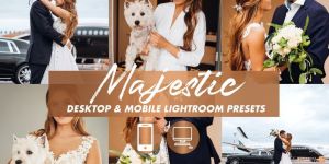 Desktop Lightroom Presets Counter