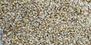 Split Coriander Seeds