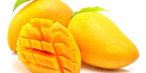 Organic Alphonso Mango