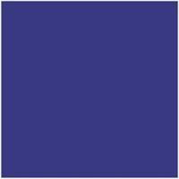 200 X 200mm Royal Blue Wall Tiles
