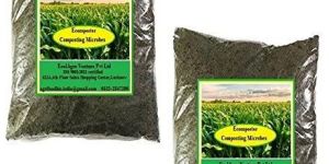 Composting Microbes