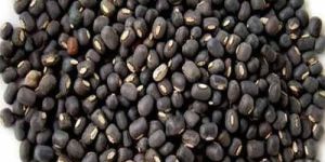 Whole Urad Dal