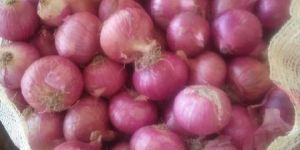 Onions