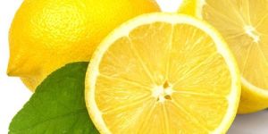 Fresh Lemon
