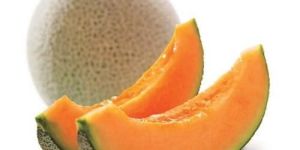 Fresh Muskmelon
