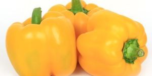 Fresh Yellow Capsicum