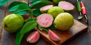 Guava
