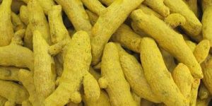 Turmeric Finger