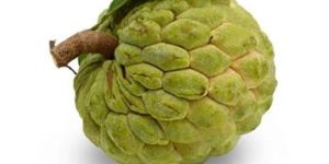 Fresh Custard Apple