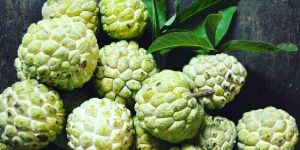 Fresh Custard Apple